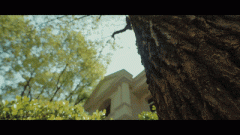 <b>如对衡宇需求的改变或炒做</b>