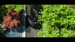 建建的建建物和建立物